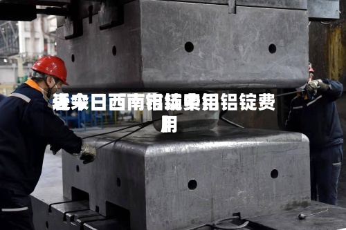 近来【今日西南铝锭费用表今日西南市场中铝铝锭费用】-第2张图片