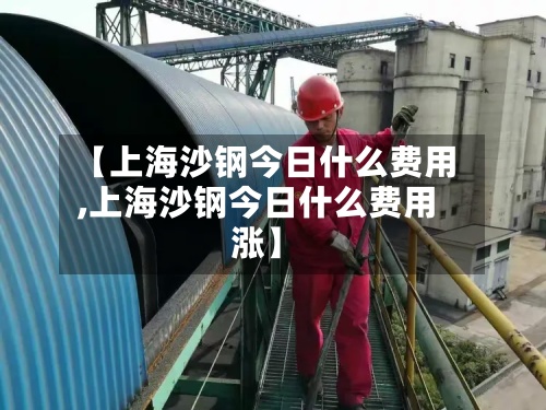 【上海沙钢今日什么费用,上海沙钢今日什么费用涨】-第2张图片