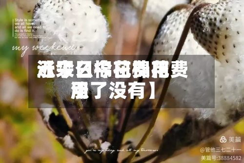 近来【今日棉花费用涨了么今日棉花费用涨了没有】-第2张图片