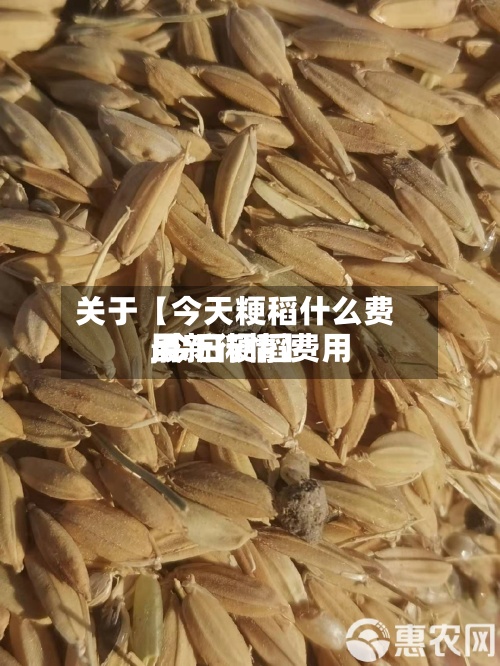 关于【今天粳稻什么费用,今日粳稻费用最新行情】