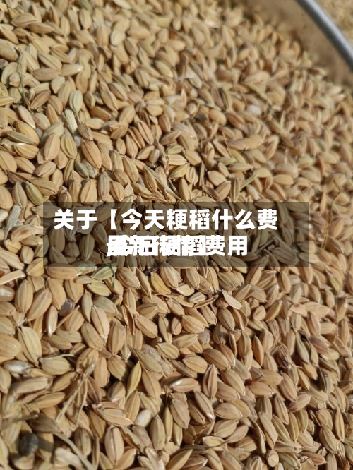 关于【今天粳稻什么费用,今日粳稻费用最新行情】-第3张图片