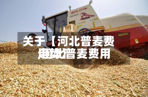 关于【河北普麦费用,河北普麦费用走势】-第2张图片