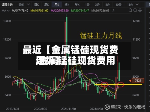 最近【金属锰硅现货费用,金属锰硅现货费用走势】-第2张图片