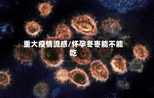 重大疫情流感/怀孕冬枣能不能吃