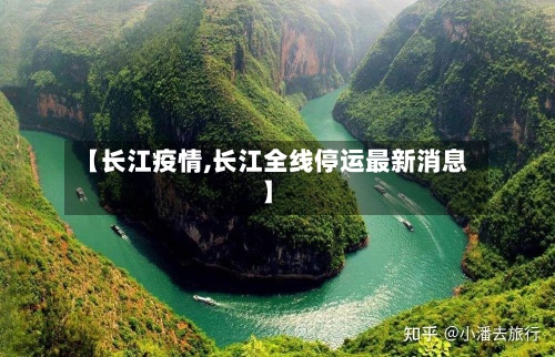 【长江疫情,长江全线停运最新消息】-第2张图片