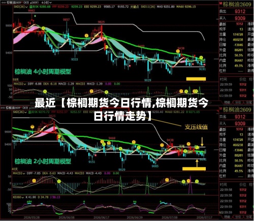 最近【棕榈期货今日行情,棕榈期货今日行情走势】-第3张图片