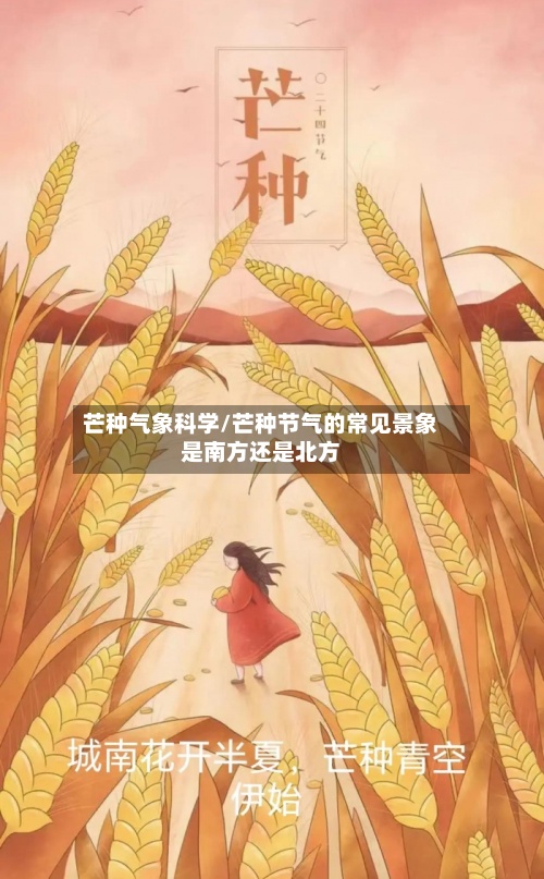芒种气象科学/芒种节气的常见景象是南方还是北方-第2张图片