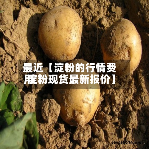 最近【淀粉的行情费用,淀粉现货最新报价】