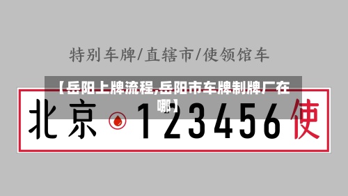 【岳阳上牌流程,岳阳市车牌制牌厂在哪】
