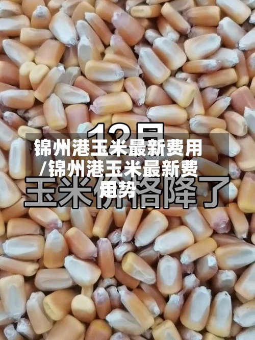 锦州港玉米最新费用/锦州港玉米最新费用走势-第2张图片