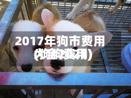 2017年狗市费用(狗狗费用大全2025)-第2张图片