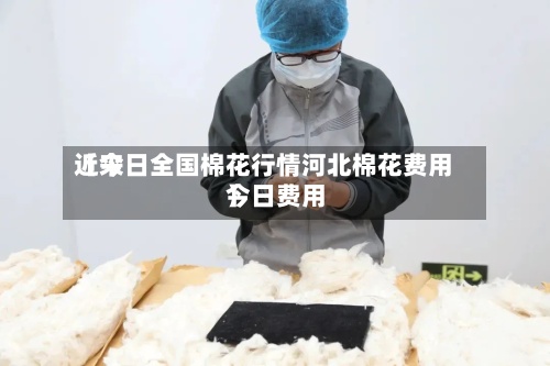 近来【今日全国棉花行情河北棉花费用今日费用】