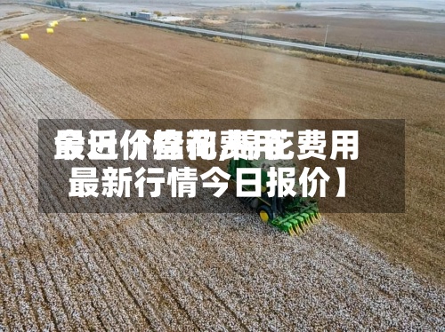 最近【棉花费用
今日价查询,棉花费用
最新行情今日报价】-第2张图片