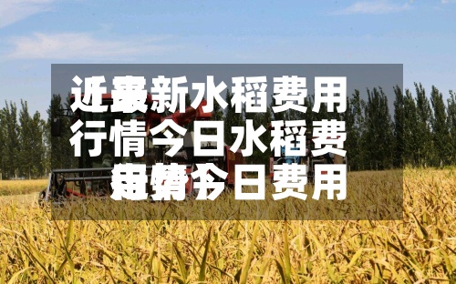 近来【最新水稻费用行情今日水稻费用行情今日费用走势】-第2张图片