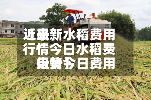 近来【最新水稻费用行情今日水稻费用行情今日费用走势】-第3张图片