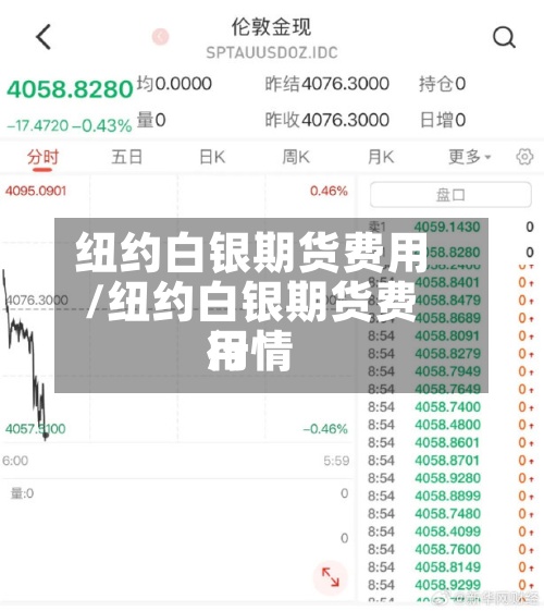 纽约白银期货费用/纽约白银期货费用行情