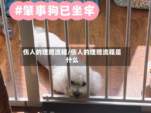 伤人的理赔流程/伤人的理赔流程是什么