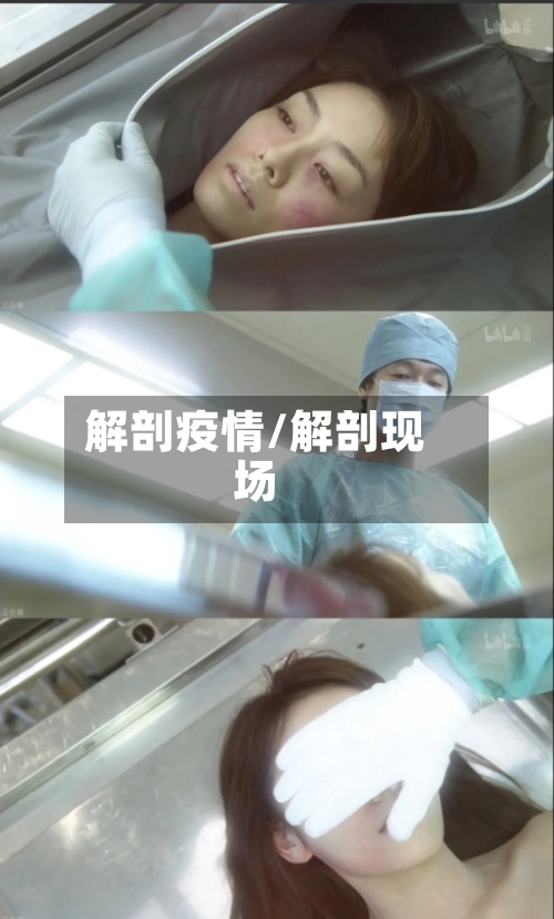 解剖疫情/解剖现场-第2张图片