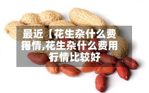 最近【花生杂什么费用
行情,花生杂什么费用
行情比较好
】-第2张图片