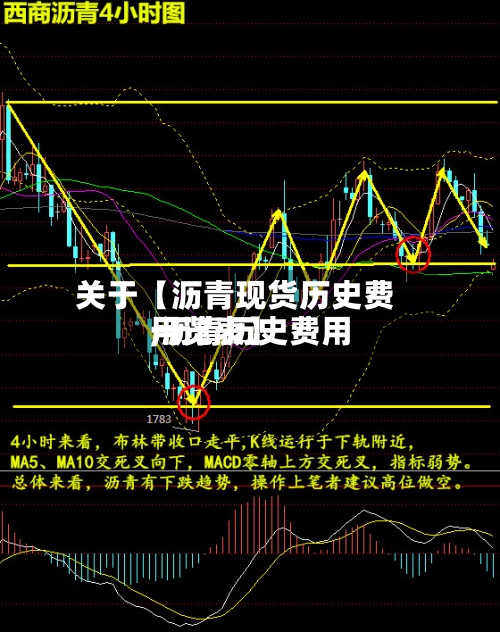 关于【沥青现货历史费用
,沥青历史费用
一览表】-第3张图片