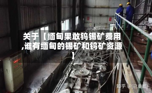 关于【缅甸果敢钨锡矿费用,谁有缅甸的锡矿和钨矿资源】-第2张图片