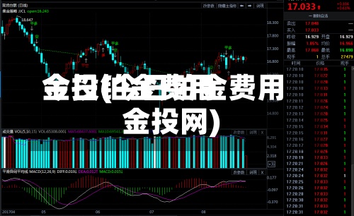 今日铂金费用金投(今日铂金费用金投网)