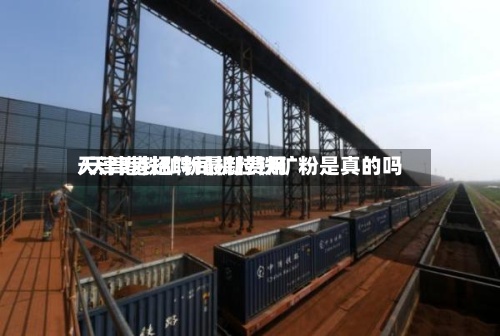 天津港铁矿粉最新费用/天津港招聘司机拉铁矿粉是真的吗-第3张图片