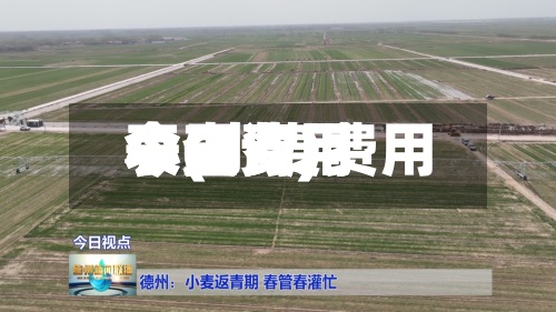 小麦费用今日费用表(小麦费用今日费用表查询)-第2张图片