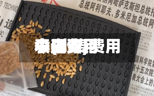 小麦费用今日费用表(小麦费用今日费用表查询)-第3张图片