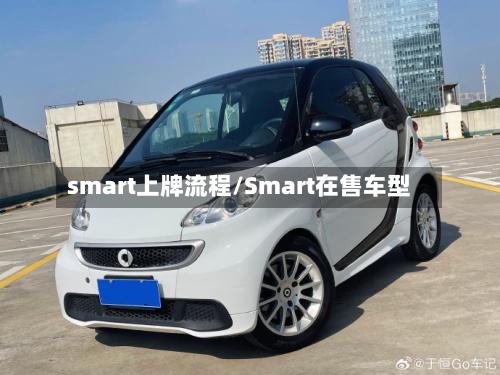 smart上牌流程/Smart在售车型-第2张图片