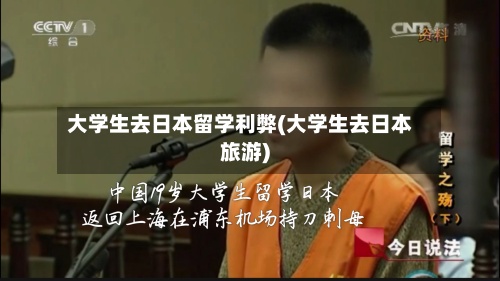 大学生去日本留学利弊(大学生去日本旅游)-第3张图片