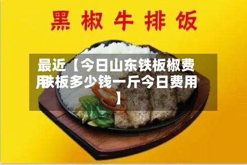 最近【今日山东铁板椒费用,铁板多少钱一斤今日费用】