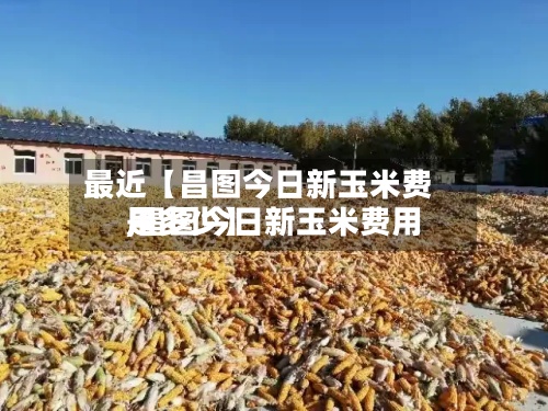 最近【昌图今日新玉米费用,昌图今日新玉米费用是多少】-第3张图片