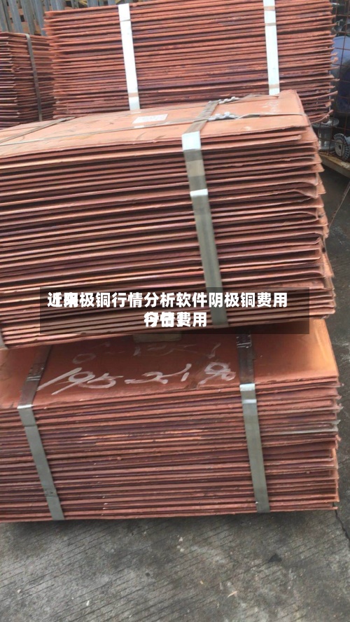 近来【阴极铜行情分析软件阴极铜费用今日费用行情】-第3张图片