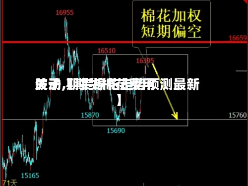 关于【期货棉花费用波动,期货棉花走势预测最新】-第3张图片