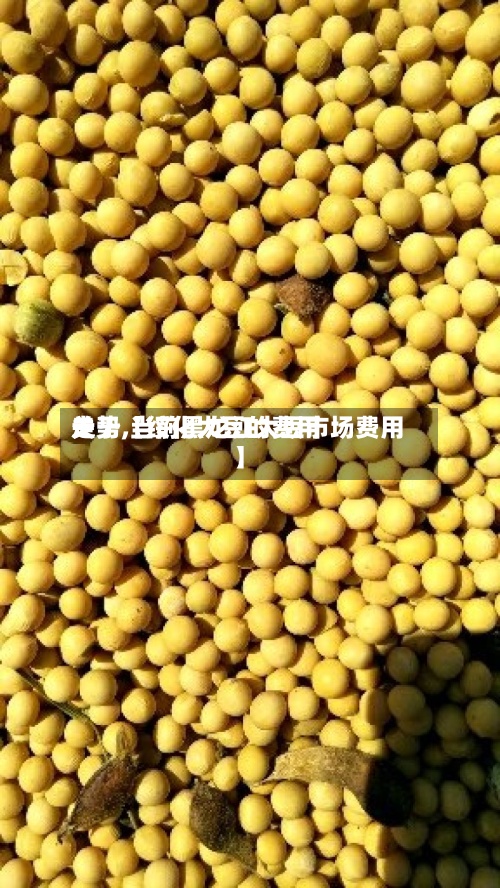 关于【绥化大豆的费用走势,当前黑龙江大豆市场费用】