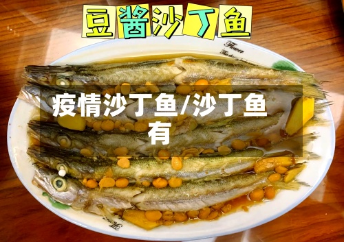 疫情沙丁鱼/沙丁鱼有