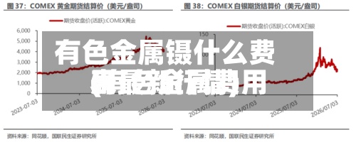 有色金属镊什么费用(有色金属费用表最新行情)-第3张图片