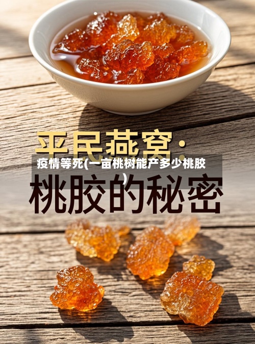 疫情等死(一亩桃树能产多少桃胶)-第2张图片
