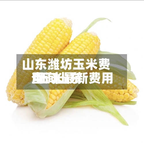 山东潍坊玉米费用
/玉米最新费用
查询山东-第2张图片