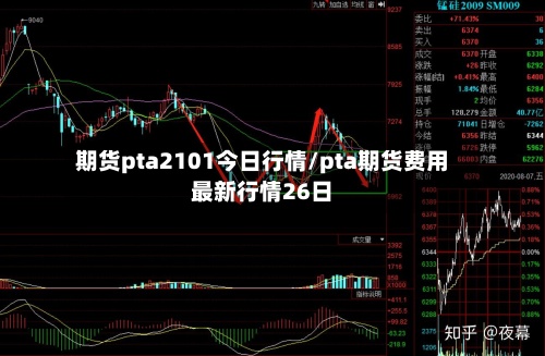 期货pta2101今日行情/pta期货费用最新行情26日
