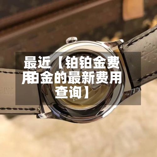 最近【铂铂金费用,铂金的最新费用查询】-第3张图片