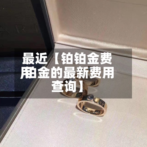 最近【铂铂金费用,铂金的最新费用查询】-第2张图片