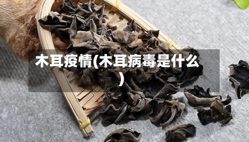 木耳疫情(木耳病毒是什么)