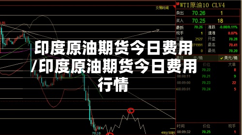 印度原油期货今日费用
/印度原油期货今日费用
行情-第2张图片
