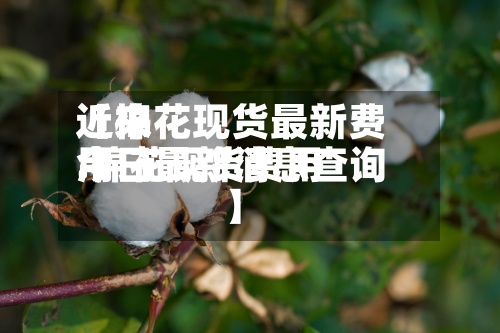 近来【棉花现货最新费用.棉花现货费用今日最新消息查询】-第3张图片