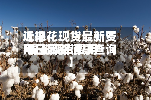 近来【棉花现货最新费用.棉花现货费用今日最新消息查询】-第2张图片