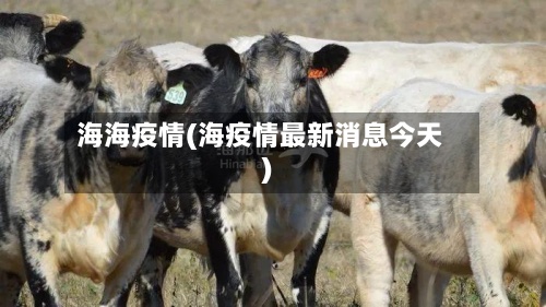 海海疫情(海疫情最新消息今天)