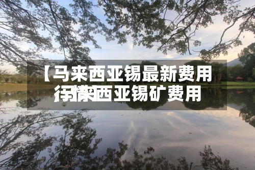 【马来西亚锡最新费用,马来西亚锡矿费用行情】