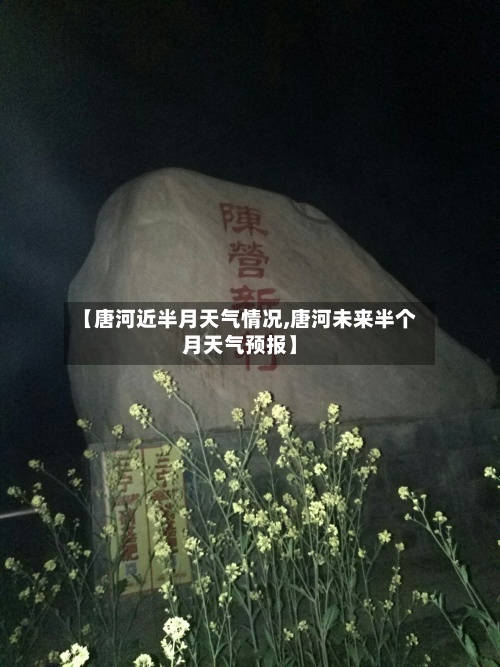 【唐河近半月天气情况,唐河未来半个月天气预报】-第3张图片